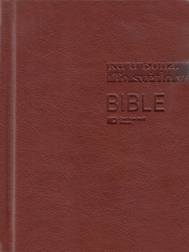 Bible 1293 hnědá