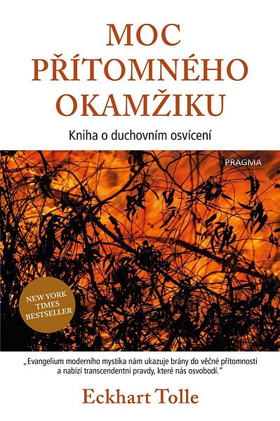 Moc přítomného okamžiku