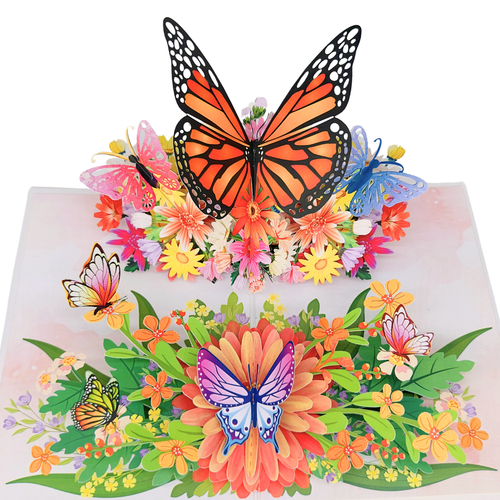 3D přání Motýlí Ráj