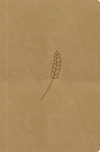 Bible, překlad 21. století (medová) - kapesní