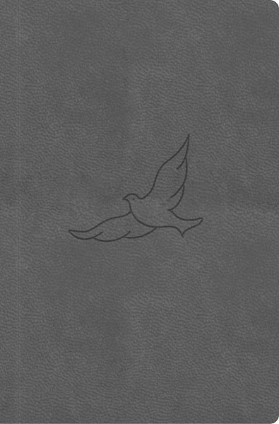 Bible, překlad 21. století (pepřová) - kapesní