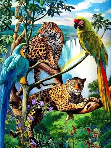 Diamantové malování Papoušci a leopardi 30x40cm