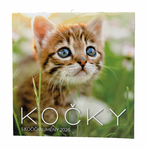 Kočky 2026 - nástěnný kalendář