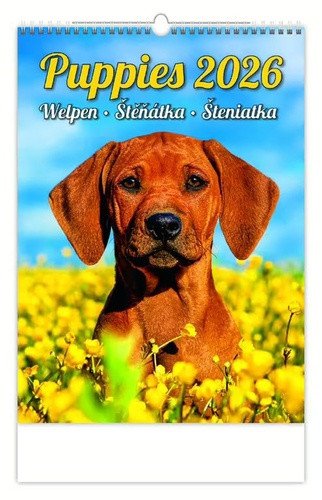 Štěňátka 2026 - nástěnný kalendář