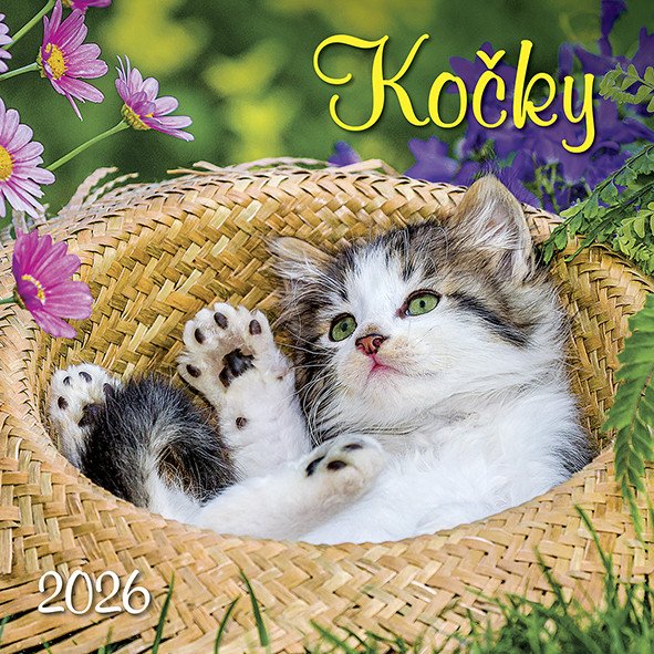 Kočky 2026 - nástěnný kalendář