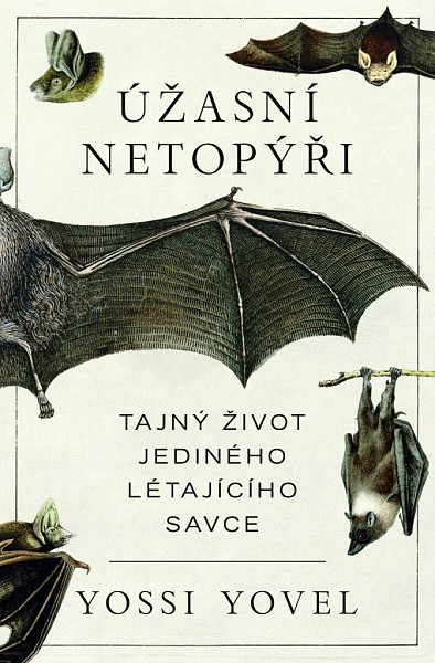 Úžasní netopýři