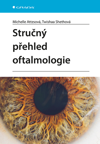Stručný přehled oftalmologie
