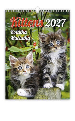 Koťátka 2027 - nástěnný kalendář