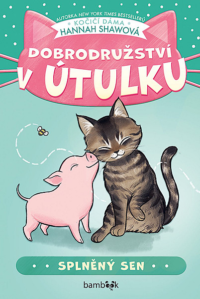 Dobrodružství v útulku – Splněný sen