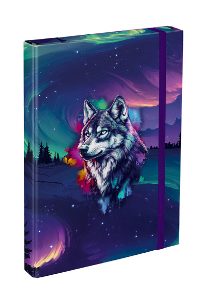 BAAGL Desky na školní sešity A4 Aurora