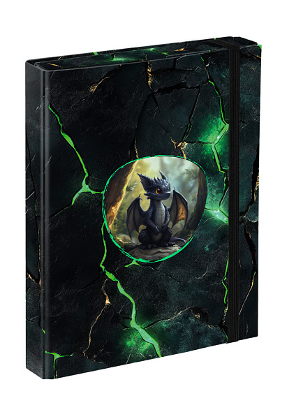 BAAGL Desky na školní sešity A5 Draci