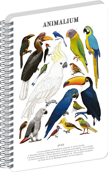 Spirálový blok Animalium - Ptáci, čistý, A5