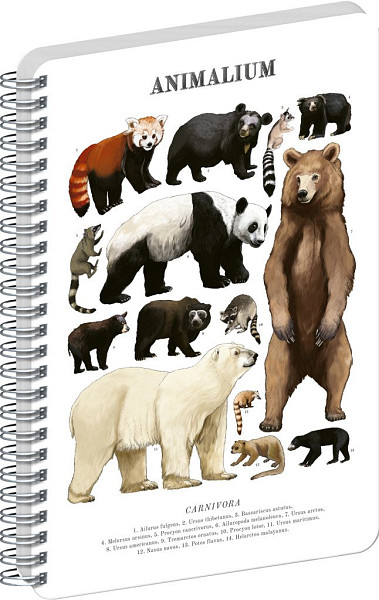 Spirálový blok Animalium - Medvědovité šelmy, čistý, A4