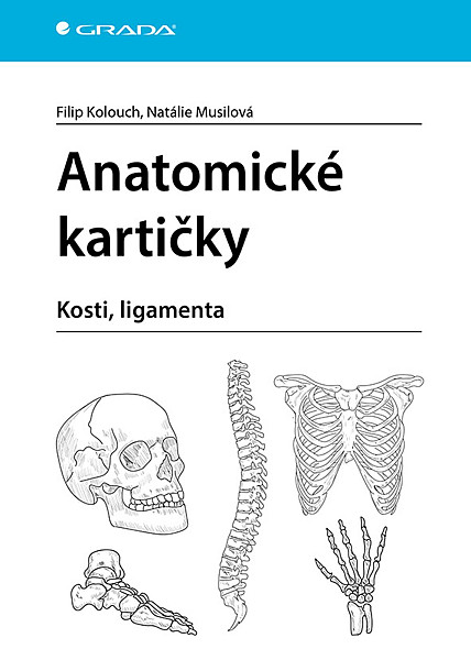 Anatomické kartičky