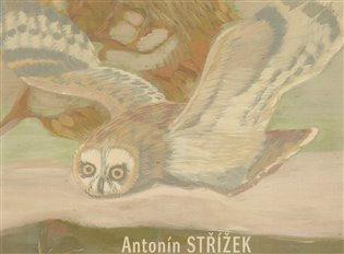 Antonín Střížek