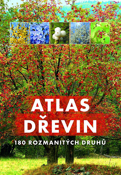 Atlas dřevin