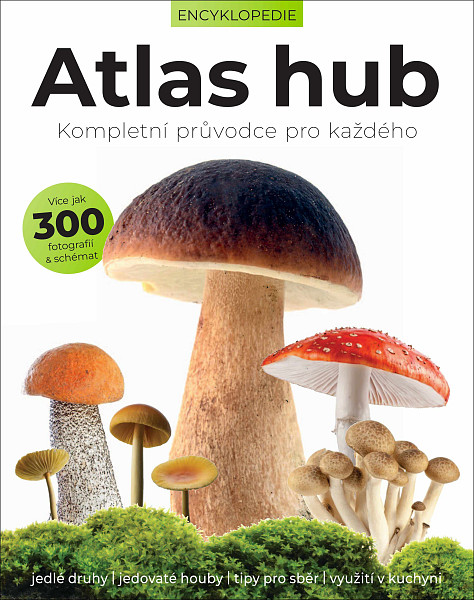 Atlas hub