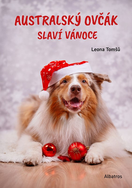 Australský ovčák slaví Vánoce