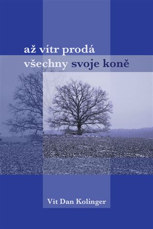 Až vítr prodá všechno svoje koně