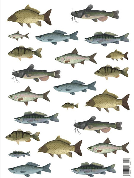 Be Nice Samolepky - Ryby