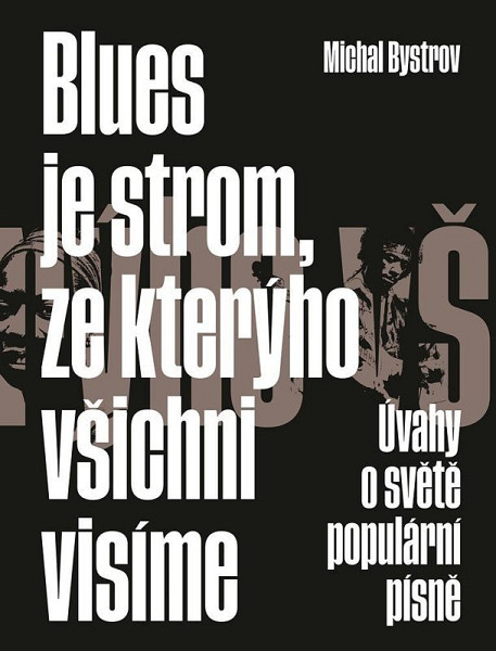 Blues je strom, ze kterýho všichni visíme - Úvahy o světě populární písně