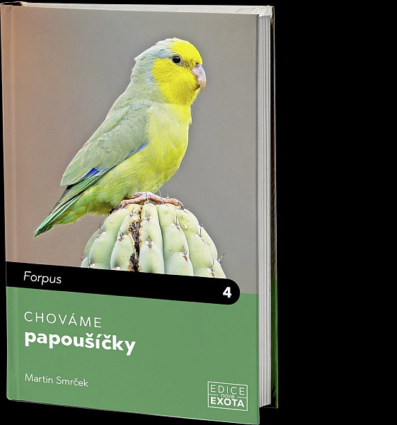 Chováme papoušíčky