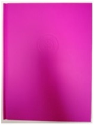 Claudie Resner - Jemné mosty nad neviditelnými propastmi