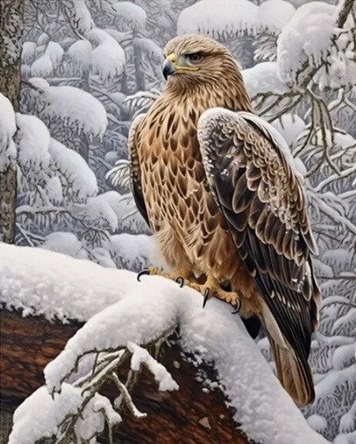 Diamantový obrázek - Orel v zimní krajině 30x40 cm
