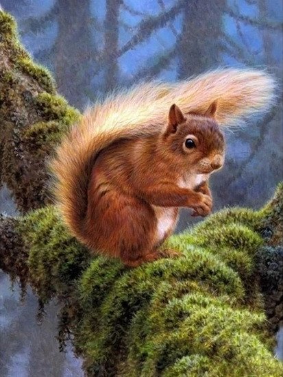 Diamantový obrázek - Veverka v lese 30x40 cm