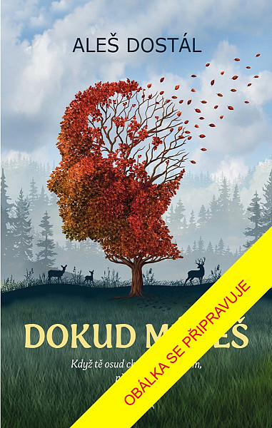 Dokud můžeš