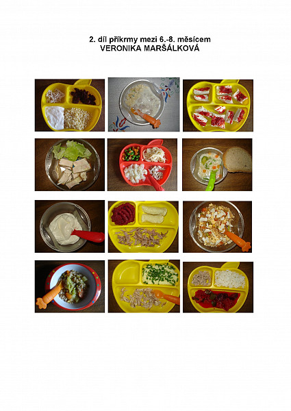 E-kniha 2. díl příkrmy mezi 6-8 měsícem - od ukončeného 6. měsíce do neukončeného 8. měsíce