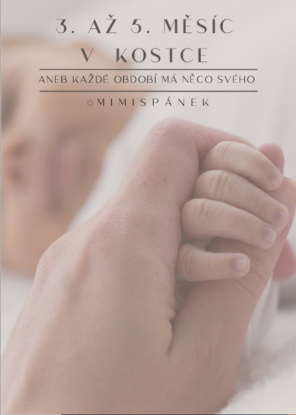 E-kniha 3. až 5. měsíc v kostce