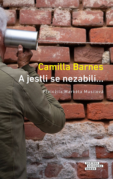 E-kniha A jestli se nezabili…
