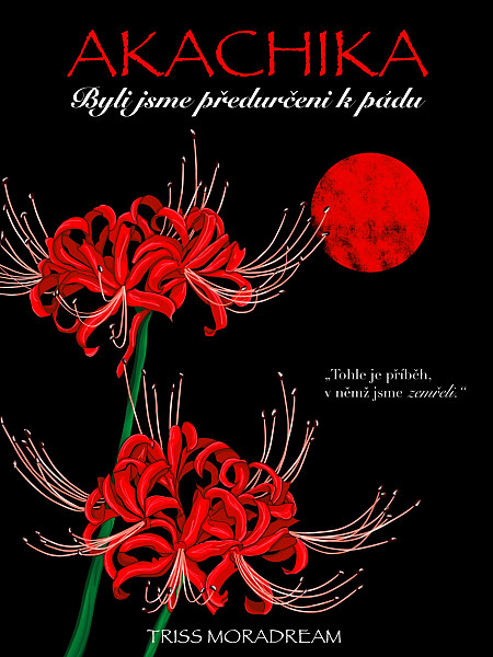 E-kniha Akachika