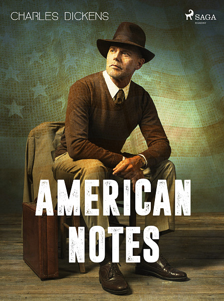 E-kniha American Notes