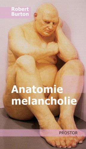 E-kniha Anatomie melancholie