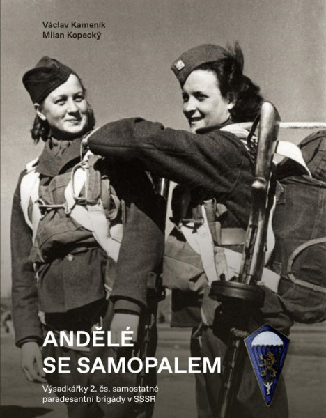 E-kniha Andělé se samopalem