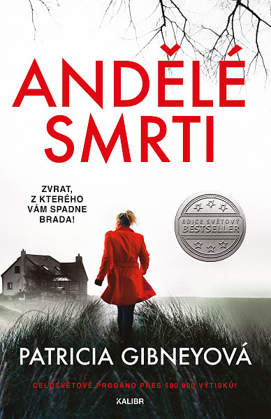 E-kniha Andělé smrti