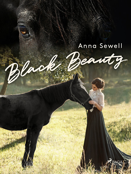 E-kniha Black Beauty