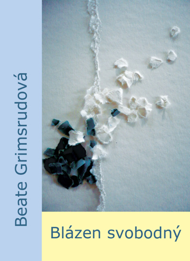 E-kniha Blázen svobodný