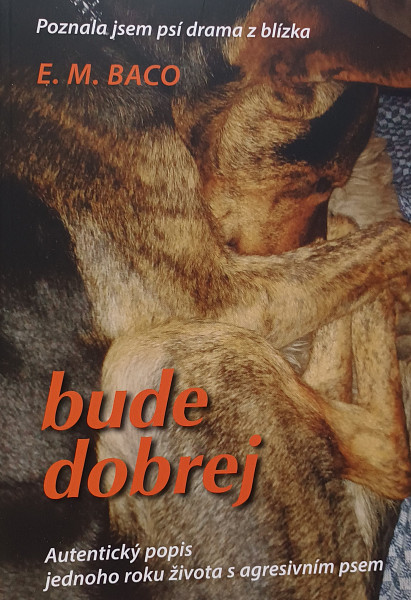 E-kniha Bude dobrej