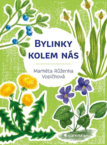 E-kniha Bylinky kolem nás