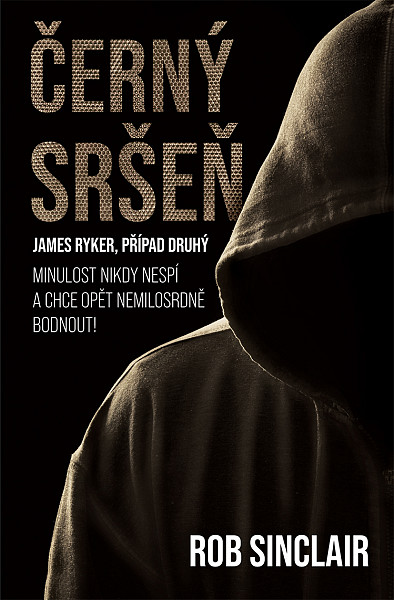 E-kniha Černý sršeň