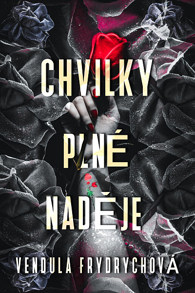 E-kniha Chvilky plné naděje