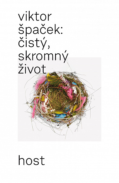 E-kniha Čistý, skromný život