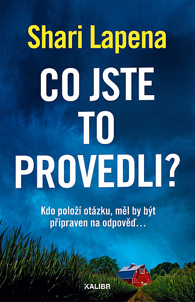 E-kniha Co jste to provedli?