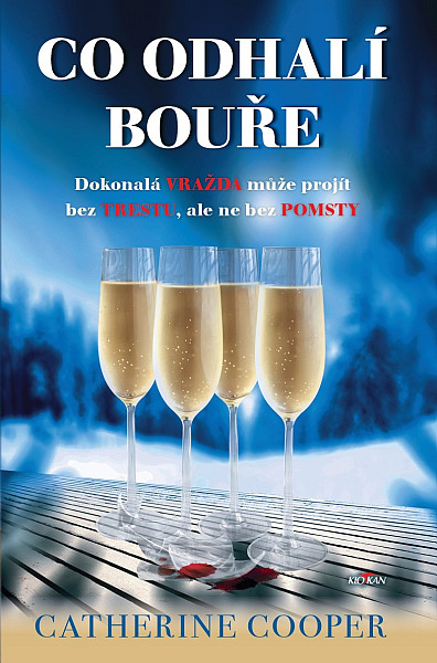 E-kniha Co odhalí bouře