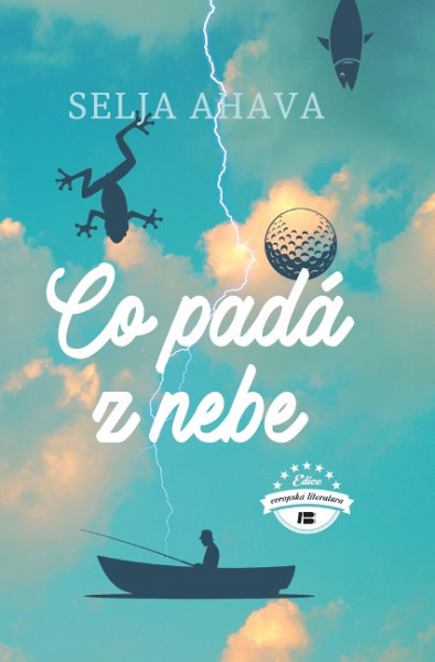 E-kniha Co padá z nebe