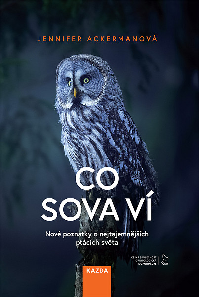 E-kniha Co sova ví