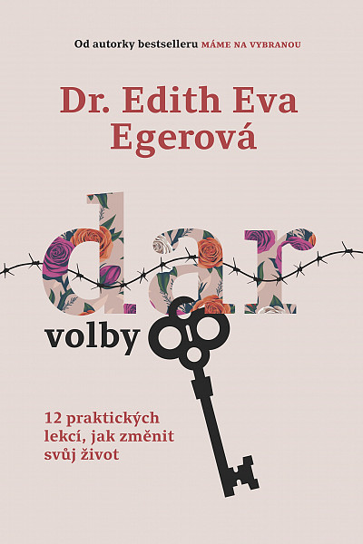 E-kniha Dar volby